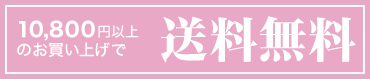 10,800円以上で送料無料！